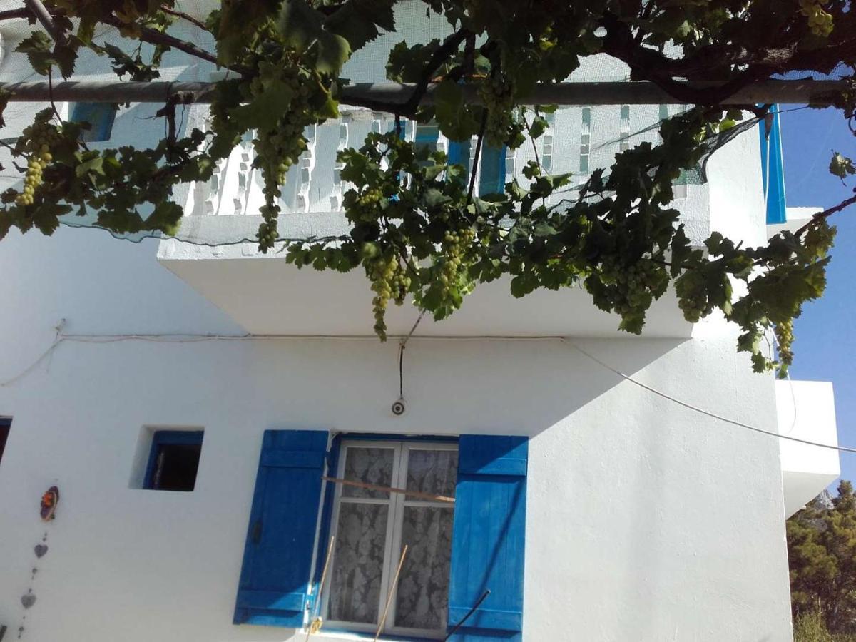 Nikos Apartments Lefkos  Exterior photo